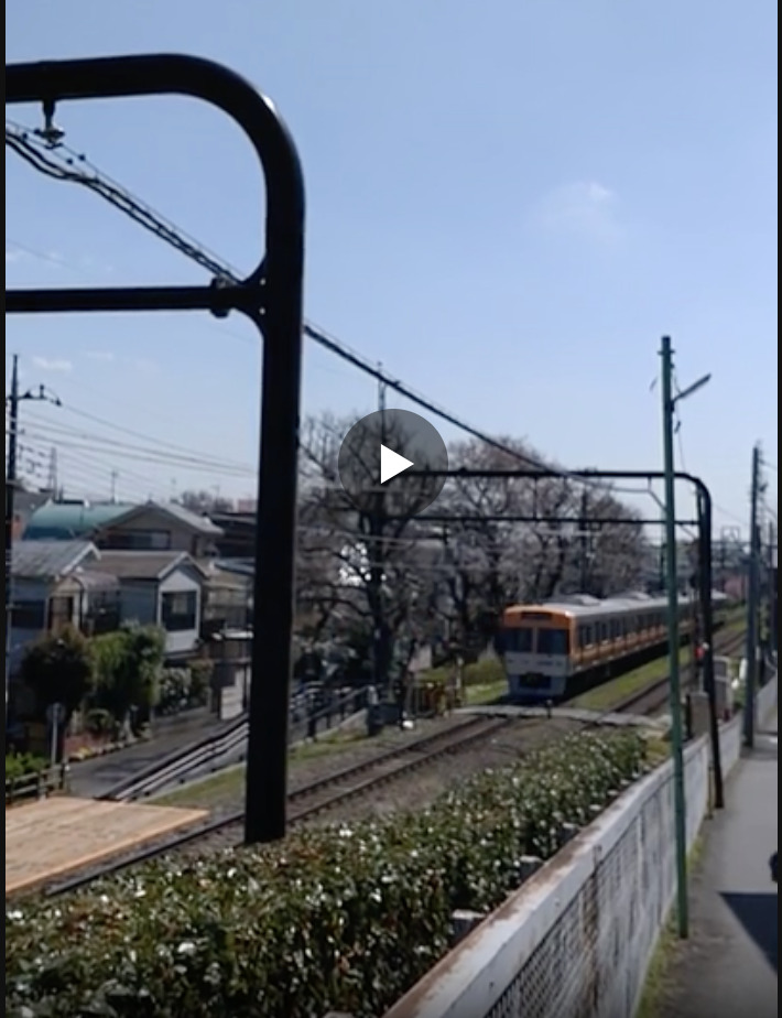 桜と列車の写真