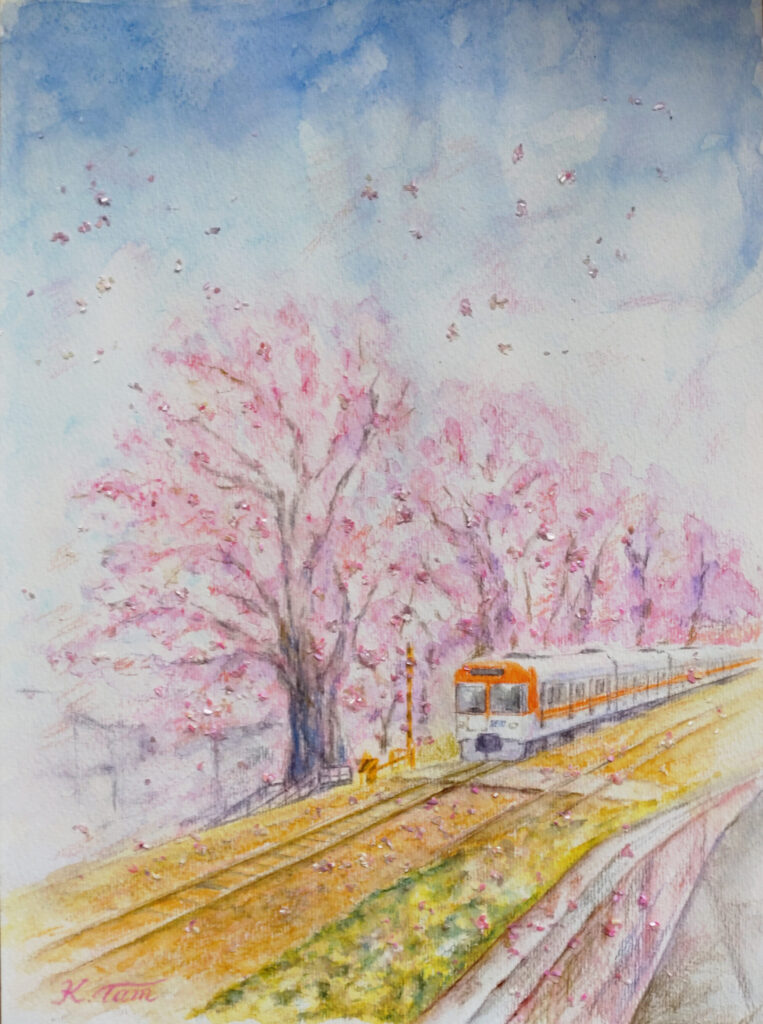 桜吹雪の中を走る列車を水彩色鉛筆で描いた絵